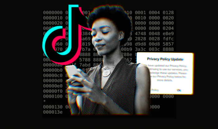 What is TikTok algorithm